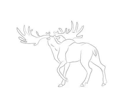 Vector illustration deer stands drawing lines, Stock Illustration