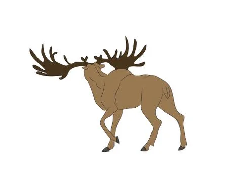 Vector illustration of a deer that stands, drawing color Illustrazione stock
