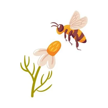A vector illustration depicting a bee in mid-flight, gracefully approaching a Stock Illustration