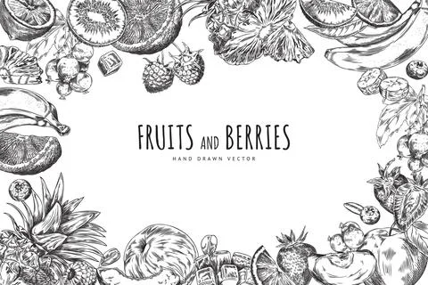 Vector illustration depicting a frame consisting of fruits and berries with an Stock Illustration