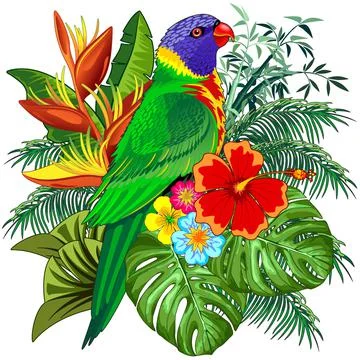 Vector Illustration design of a Rainbow Lorikeet Exotic Colorful Parrot Bird on イラスト素材