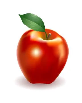 Vector illustration of detailed big shiny red apple Stock Illustration