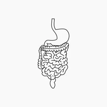 Vector illustration of Digestion outline design Stock Illustration