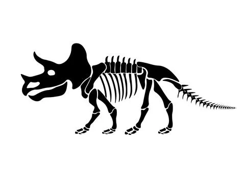 Vector illustration with dinosaur skeleton isolated on a white background. Stock Illustration