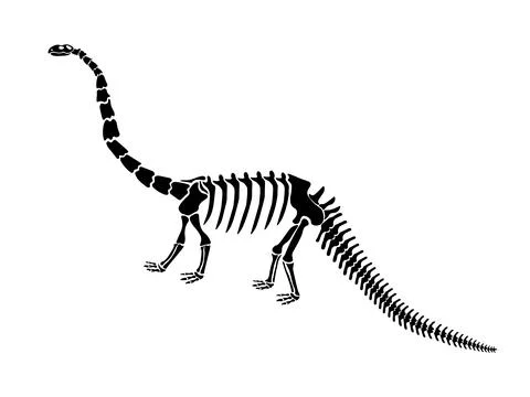 Vector illustration with dinosaur skeleton isolated on a white background. Stock Illustration
