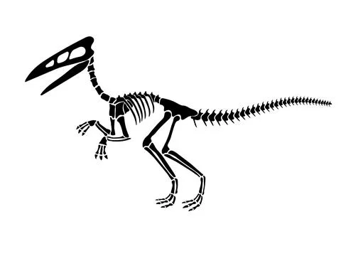 Vector illustration with dinosaur skeleton isolated on a white background. Stock Illustration