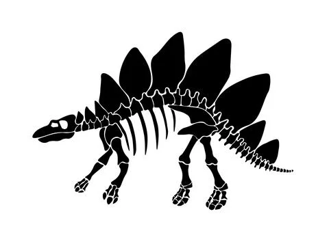 Vector illustration with dinosaur skeleton isolated on a white background. Stock Illustration