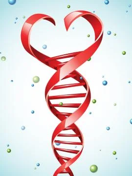 Vector illustration of a DNA strand in a shape of a heart イラスト素材