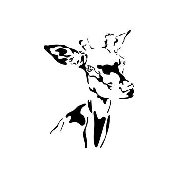 Vector illustration of a doe. Stock Illustration