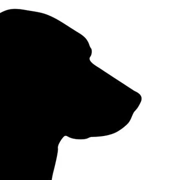 Vector illustration of dog. Stock Illustration