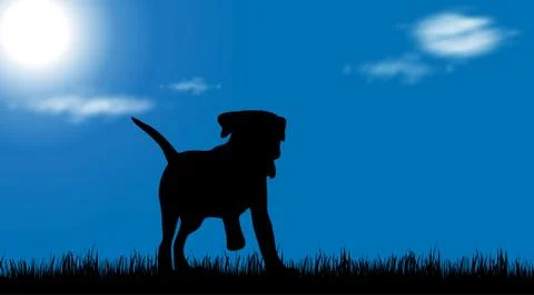 Vector illustration of dog. Stock Illustration