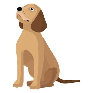 Vector illustration of a dog. Stock Illustration