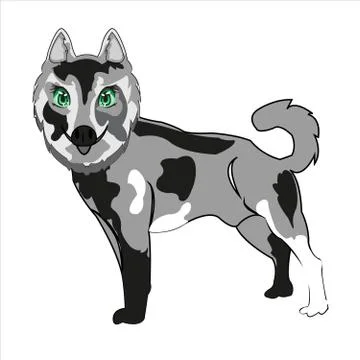 Vector illustration of the dog of the sort husky Stock Illustration