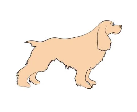 Vector illustration dog is standing Stock-Illustration