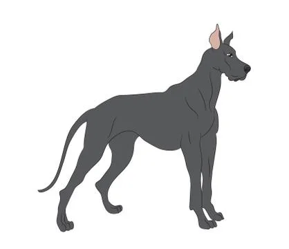 Vector illustration dog is standing Stock Illustration