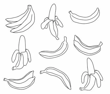 Vector illustration doodle of bananas Stock Illustration