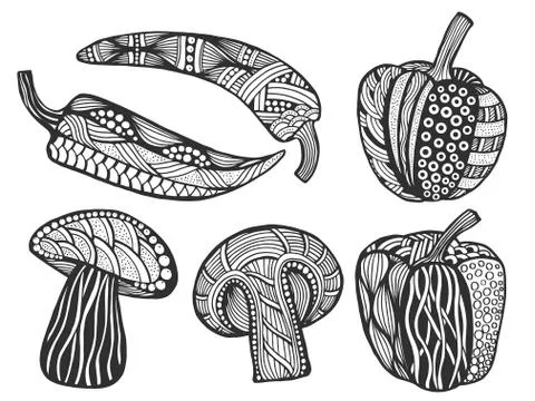 Vector illustration doodle boho style. Illustrazione stock