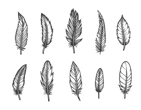 Vector illustration of doodle drawn feathers. Set on white background, isol.. Stockillustratie