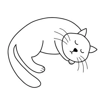 Vector illustration of doodle sleeping cat in cartoon style. Cute animal Stock Illustration