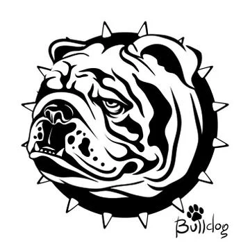 Vector illustration, drawing of a dog of breed English Bulldog Stock Illustration