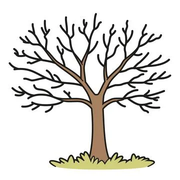 Vector illustration of a dry tree in a cartoon, outlined style, isolated on.. Stock Illustration