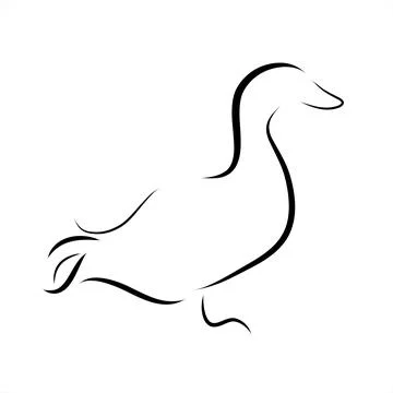 Vector illustration of duck painted with simple lines. Symbol of mallard and  Stock Illustration