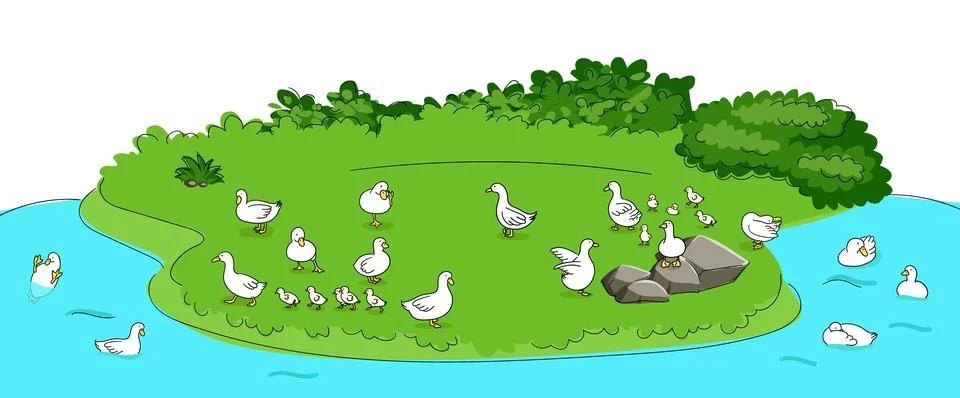 Vector illustration of ducks bathing in the river and ducks playing on the shore Stock Illustration
