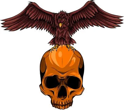 Vector illustration of eagle on human skull Stock Illustration