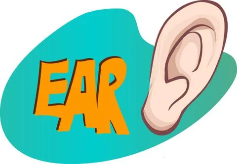 Vector illustration of a ear Stock Illustration