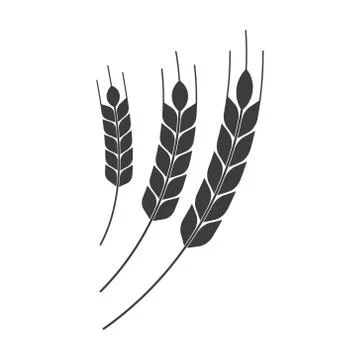 Vector illustration of ears of wheat icon. Isolated. Stock Illustration