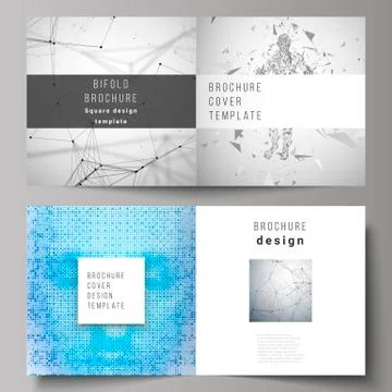 The vector illustration of editable layout of two covers templates for square Stockillustratie