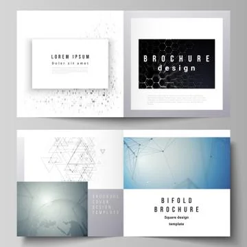 The vector illustration of the editable layout of two covers templates for sq Stock Illustration