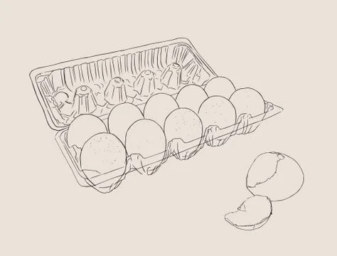 Vector illustration egg box with fresh chicken eggs. Egg plastic container. Stock Illustration
