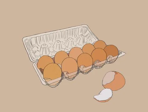 Vector illustration egg box with fresh chicken eggs. Egg plastic container. Stock Illustration