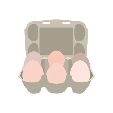 Vector illustration egg box with white fresh chicken eggs. Egg container. 库存插图