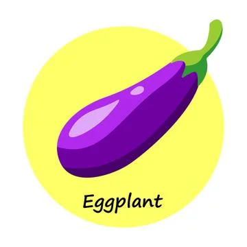 Vector illustration of an eggplant on a yellow round background Stock Illustration