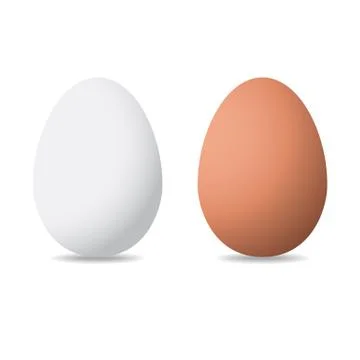 Vector illustration of eggs on white background Stock Illustration