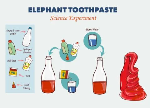 Vector illustration of Elephant's toothpaste experiment Illustration