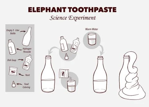 Vector illustration of Elephant's toothpaste experiment Stock Illustration