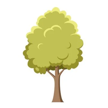 Vector illustration of an elm tree in cartoon style isolated on white backg.. Stock Illustration
