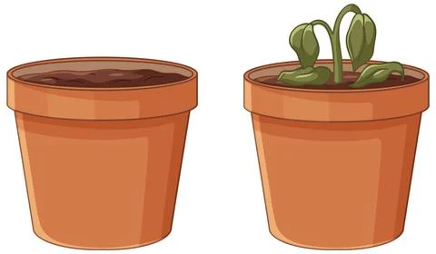 Vector Illustration of Empty Flower Pot and Wilted Plant in Pot Stock Illustration