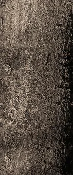 Vector illustration of Exochorda tree bark background and texture Stock Illustration