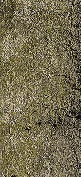 Vector illustration of Exochorda tree bark background and texture Stock Illustration