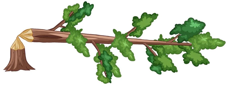 Vector Illustration of a Fallen Tree Cut by a Beaver Stock Illustration
