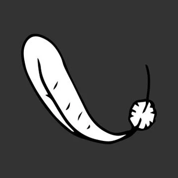 Vector illustration of a feather. Hand drawn feathers. Stock Illustration