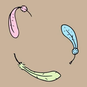 Vector illustration of a feather. Hand drawn feathers. Stock Illustration