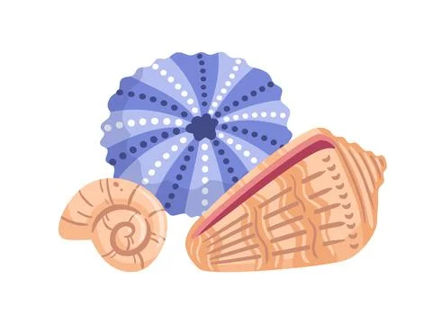 Vector illustration features a detailed sea urchin and a cone snail, showca.. Stock Illustration