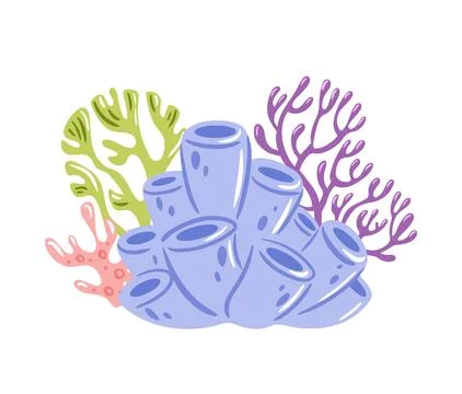 Vector illustration features a stunning group of corals, showcasing various.. Stock Illustration