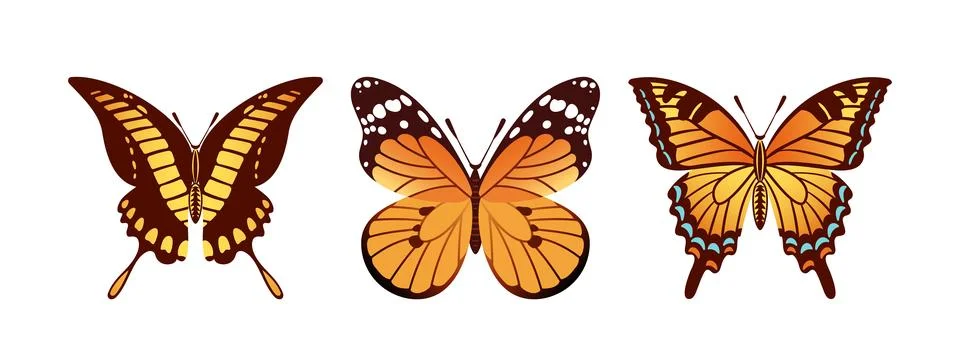 Vector illustration features a stunning trio of butterflies the Swallowtail, Stock Illustration