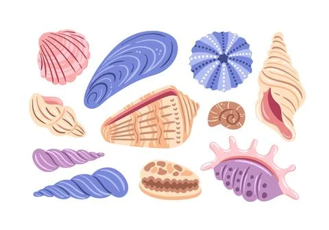 This vector illustration features a vibrant collection of various seashells.. 스톡 일러스트